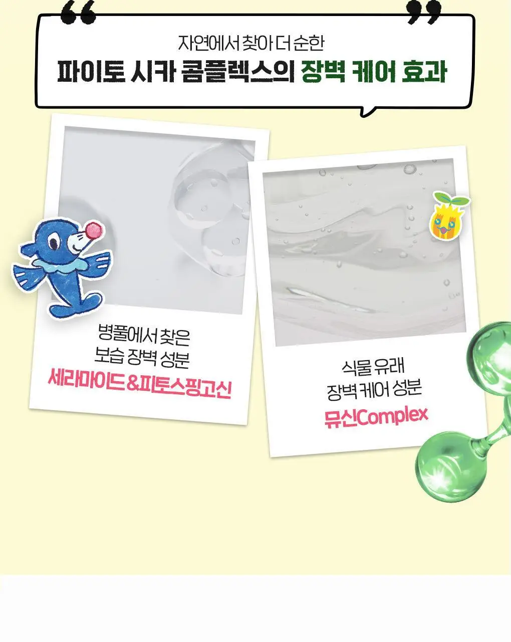 [포켓몬에디션/저자극파데프리] 브링그린 징크테카 파이토 BB 선 50mL(+BB선 20mL) 상세페이지 20